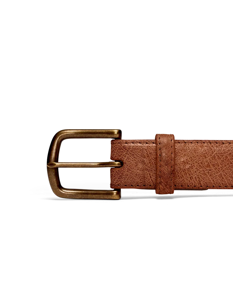 Men's Smooth Ostrich Belt - Image 2