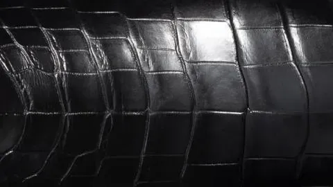 A close up picture of the Crocodile material
