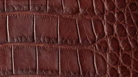 A close up picture of the Alligator material