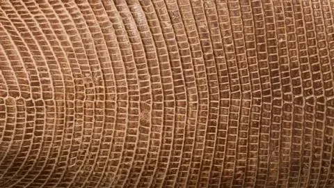 A close up picture of the Relic Lizard material