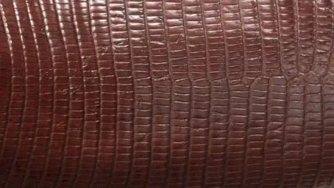 Close up of Lizard material