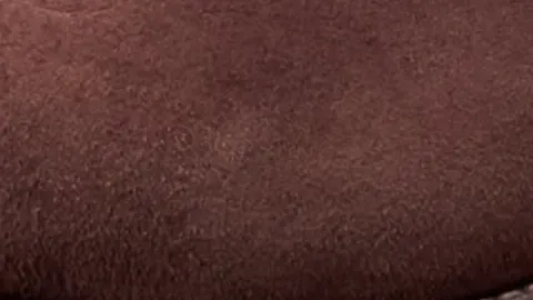 Closeup swatch of deerskin roughout material in brown