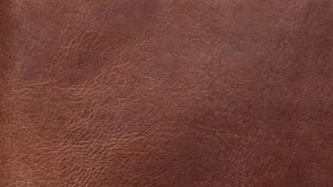 A close up picture of the Goat material