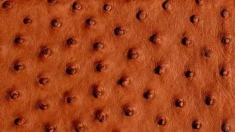 A close up picture of the Ostrich material