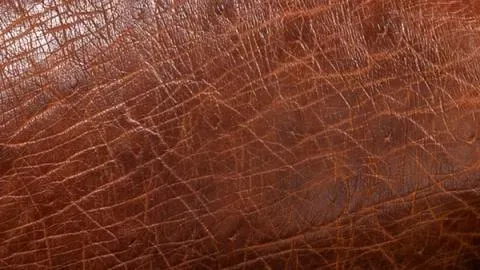 A close up picture of the Smooth Ostrich material