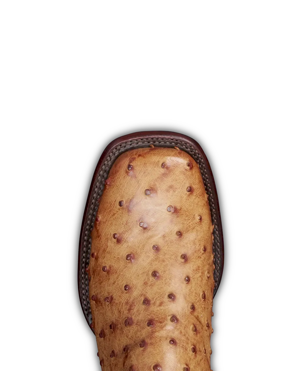 The Emmitt - Image 4