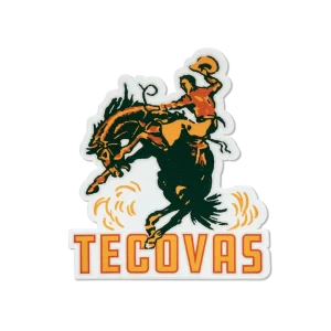 Buckin Bronco Sticker